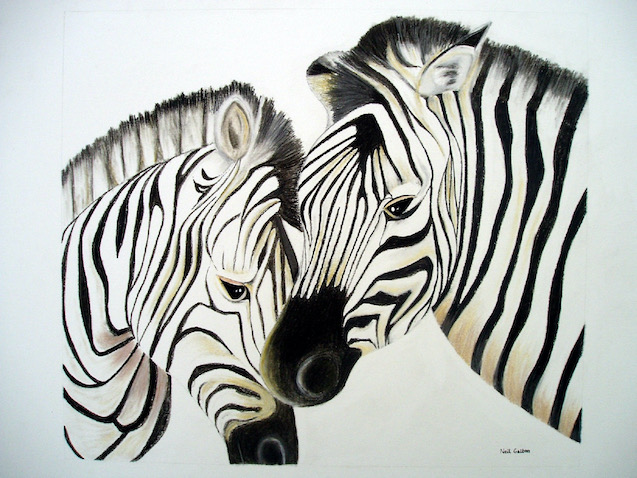 Zebra Crossing